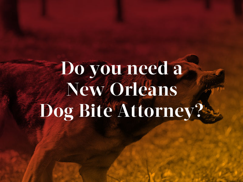 Abogado de mordeduras de perro en Nueva Orleans